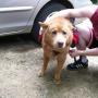Joann Pham Photo 12