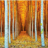 Jonathan Carrero Photo 1