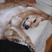 Cheryl Bailey Photo 46