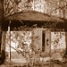 Karl Seidel Photo 21