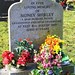 Shirley He Photo 31