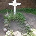 Cornelia Johnson Photo 37