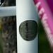 Andrew Dykstra Photo 35