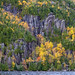 Wayne Pond Photo 14