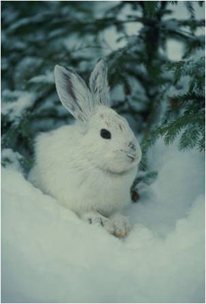 Debbie Hadley Photo 15