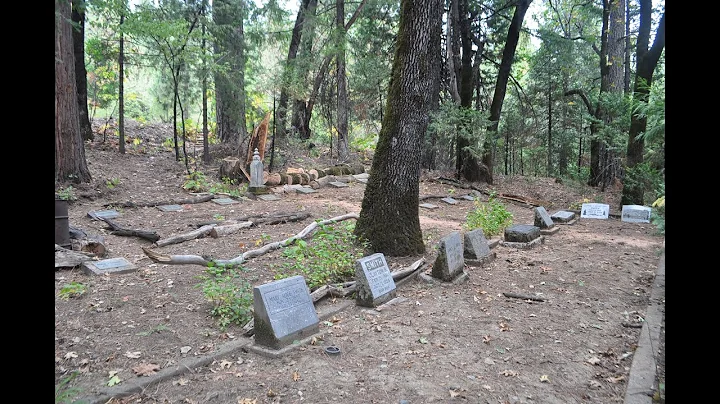 William Conant Photo 16