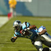 Steve Smith Photo 39