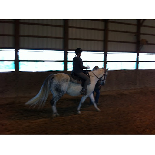 Tracy Rolfe Photo 9
