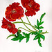 Sandra Wright Photo 49