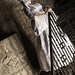 Rebecca Mcculloch Photo 29