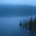 Misty Lake Photo 38
