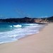 Sandy White Photo 43