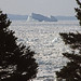 Clyde Berg Photo 14