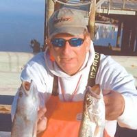 Steve Irvin Photo 1