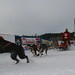 John Obermeyer Photo 17