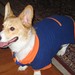 Terris Brown Photo 22