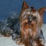 Martha Bain Photo 12