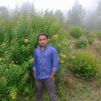 Bhupinder Saini Photo 7