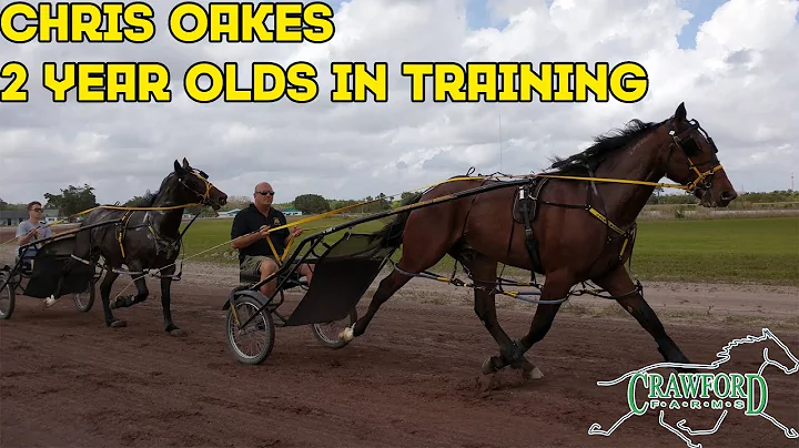 Chris Oakes Photo 39
