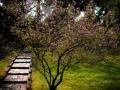 John Borbone Photo 7