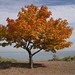 Autumn Wagner Photo 39