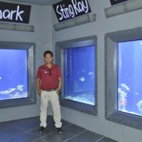Elmer Hipolito Photo 3