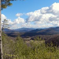 Janet Whitt Photo 1