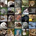Miao Liu Photo 42