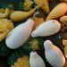 Lisa Burley Photo 39
