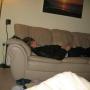 Luke Stanley Photo 24