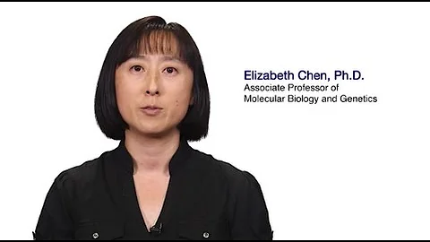 Elizabeth Chen Photo 37