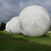 Peter Randall Photo 51