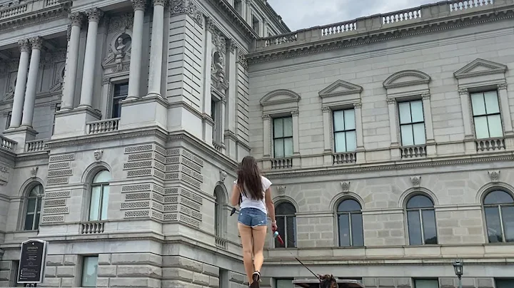 Virginia Van Photo 25