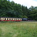 Allan Pickering Photo 27