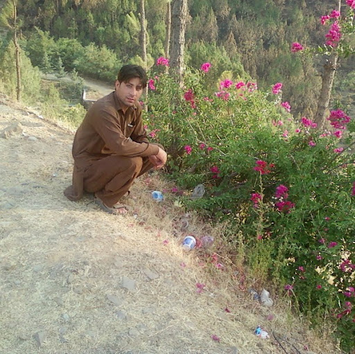 Muhammad Ghani Photo 16