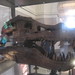 Rex Field Photo 12