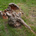 Henry Field Photo 28