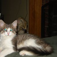 Keith Mattingly Photo 3