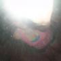 Rebecca Cotton Photo 24