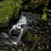 Amy Strickland Photo 8