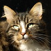 Lenny To Photo 10
