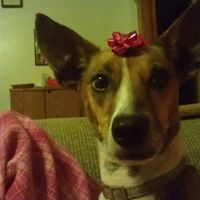 Samantha Roark Photo 4