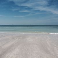 Jason Wilkie Photo 6
