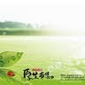 Cheng Yin Photo 10