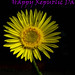 Maneesh Sharma Photo 37