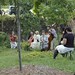 Suzanne Spitzer Photo 15