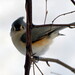 Kathy Tufts Photo 22