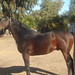 Juan Cabre Photo 17