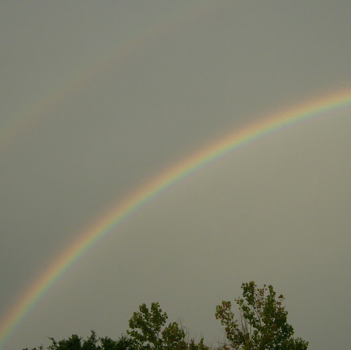 Teresa Burk Photo 9