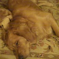 Sue Krause Photo 3